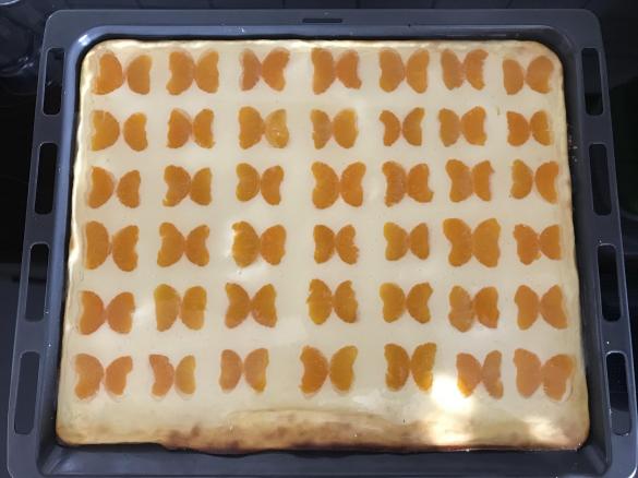 Photo of Schmetterling Kuchen