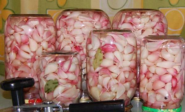 Photo of Eingelegter Knoblauch ohne Einmachen, der über das ganze Jahr genutzt werden kann und wie ein frischer ist