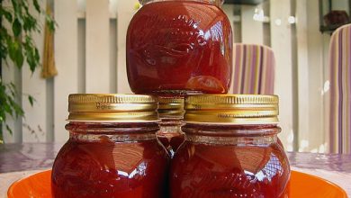 Photo of Weihnachtliche Pflaumen – Lebkuchen – Marmelade