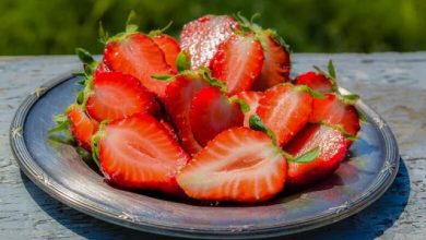 Photo of Verrückt nach Erdbeeren: So bleibt die süße Frucht länger frisch!