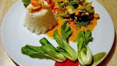 Photo of Flusskrebscurry mit Thai – Auberginen und Pak Choi