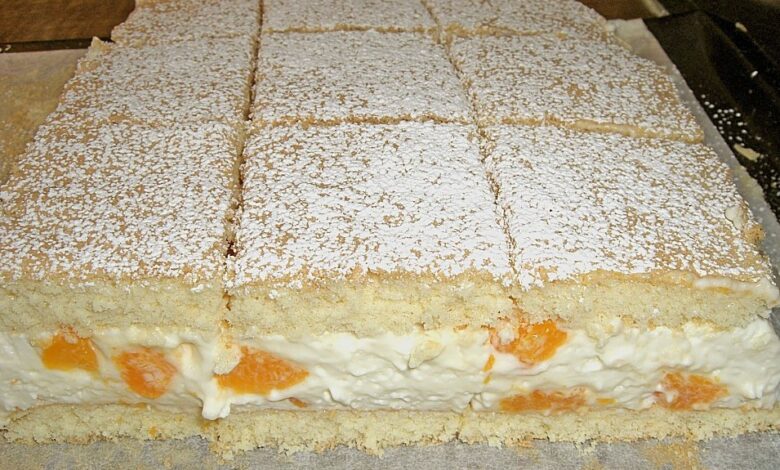 Photo of Mandarinen – Quark – Schnitten