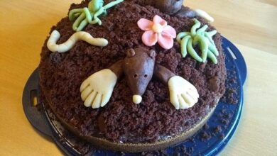 Photo of Maulwurfkuchen