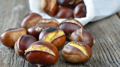 Photo of Maroni aus dem backofen