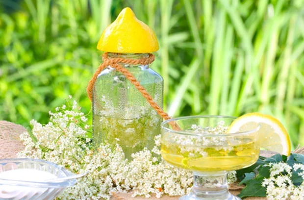 Photo of Holundersirup