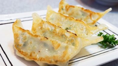 Photo of Gyoza – Japanische teigtaschen