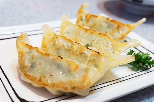 Photo of Gyoza – Japanische teigtaschen