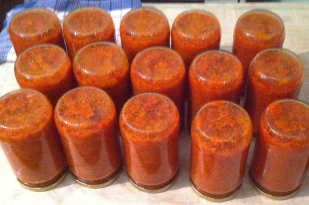 Photo of Original kroatischer ajvar