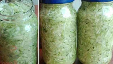 Photo of Gurkensalat einkochen Vorrat für den Winter