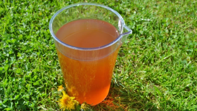 Photo of Löwenzahnsirup