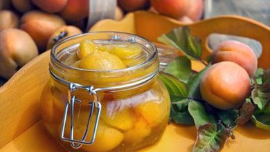 Photo of Marillenkompott