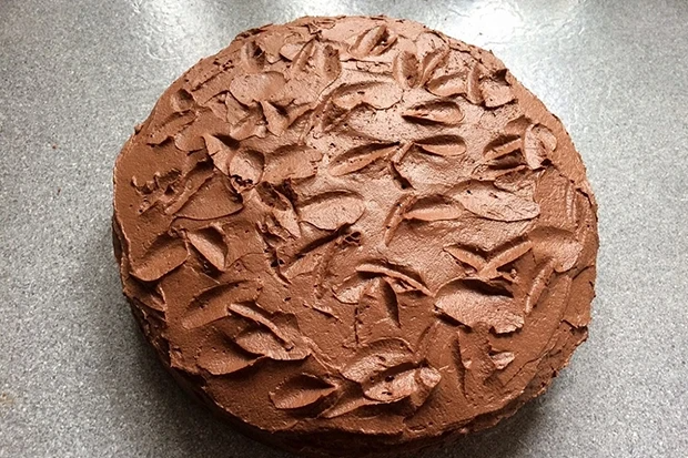 Photo of Schoko-nuss-torte mit schokocreme