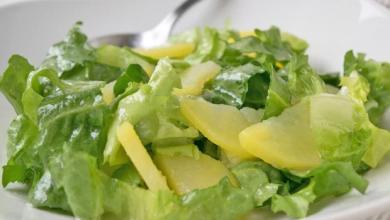 Photo of Endiviensalat