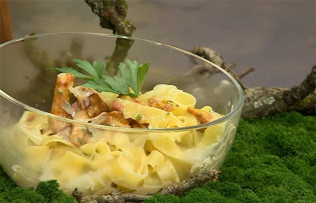 Photo of Pasta mit eierschwammerl