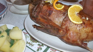 Photo of Gans gefüllt