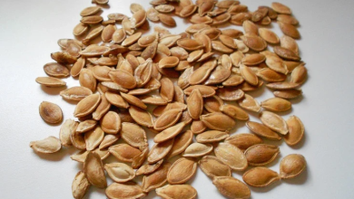 Photo of Kürbiskerne im backofen geröstet