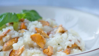 Photo of Eierschwammerl risotto