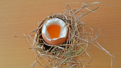 Photo of 3-minuten ei