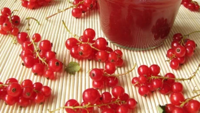 Photo of Ribiselmarmelade