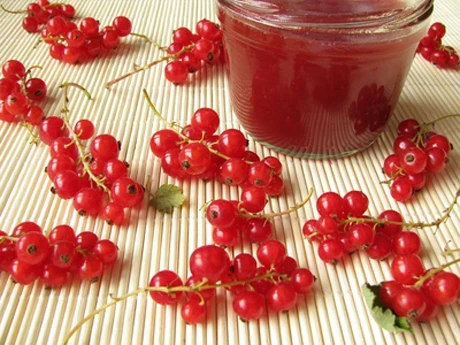 Photo of Ribiselmarmelade