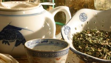 Photo of Kräutertees und Eigenschaften