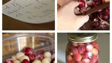 Photo of Eingelegte Zwiebeln