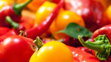 Photo of Mexikanische Burrito-Saucen: Guacamole-Salsa und Chili-Salsa