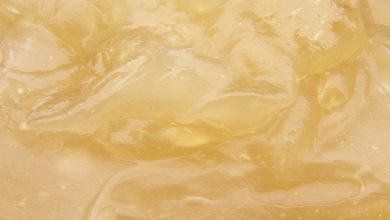 Photo of Veganer Vanillepudding, ohne Milch und ohne Eier