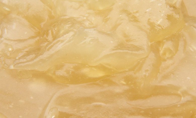 Photo of Veganer Vanillepudding, ohne Milch und ohne Eier