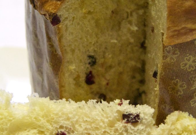 Photo of PANETTONE MIT BIERHEFE von IGINIO MASSARI