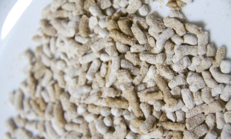 Photo of Hausgemachte Dinkelnudeln