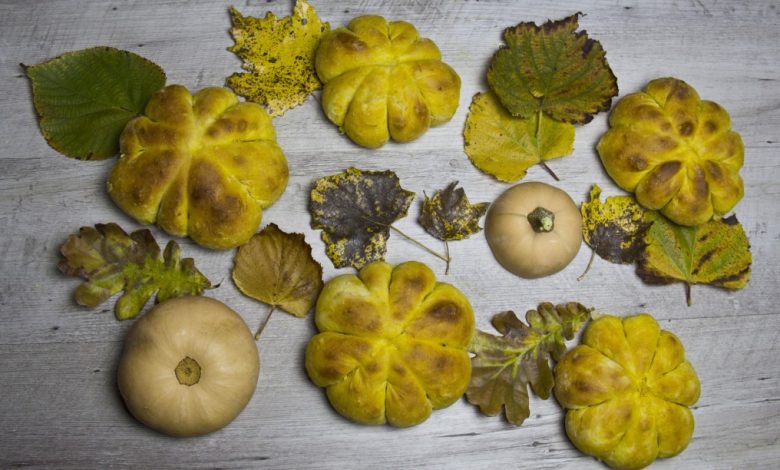 Photo of KÜRBIS-SANDWICHES in Form von Halloween-Kürbissen