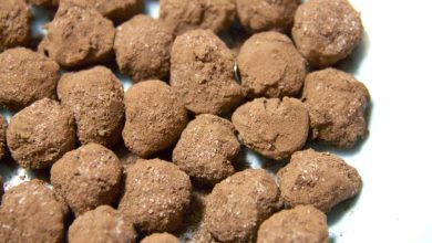 Photo of Mit Schokolade überzogene Haselnüsse | fertig in 10 Minuten | perfekt für die Kaffeepause