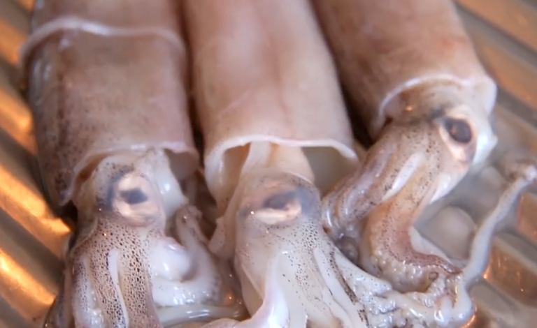 Photo of SQUID: So reinigt man sie in wenigen Minuten perfekt