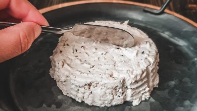 Photo of HAUSGEMACHTER RICOTTA | schneller und einfacher Käse