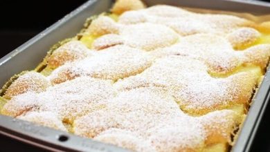 Photo of OFENPFANNKUCHEN IN 20 MINUTEN FERTIG !