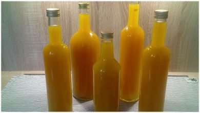 Photo of Köstlicher Maracuja-Likör ohne Sahne, selber machen