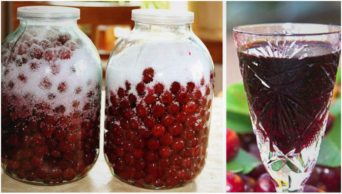 Photo of Wie man aus 3 Zutaten Kirschlikör macht