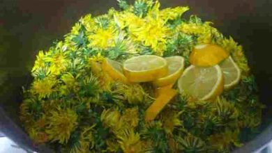 Photo of Löwenzahnhonig – ein uraltes Rezept aus Omas Küche