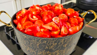 Photo of Tomatensauce mit 250ml Essig die mache ich jedes Jahr